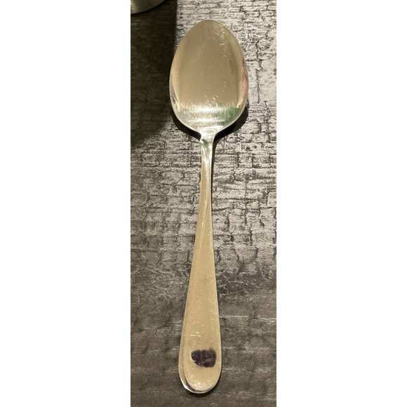 Oneida Stainless Flight Reliance Serving Spoon‎ Flatware Vintage Stainless - Picture 1 of 4
